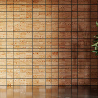 Мозаика из керамогранита Kotto Ceramica MI7 23460111C Dorato 300 x 300 х 7 (прямоугольник 23 x 46)